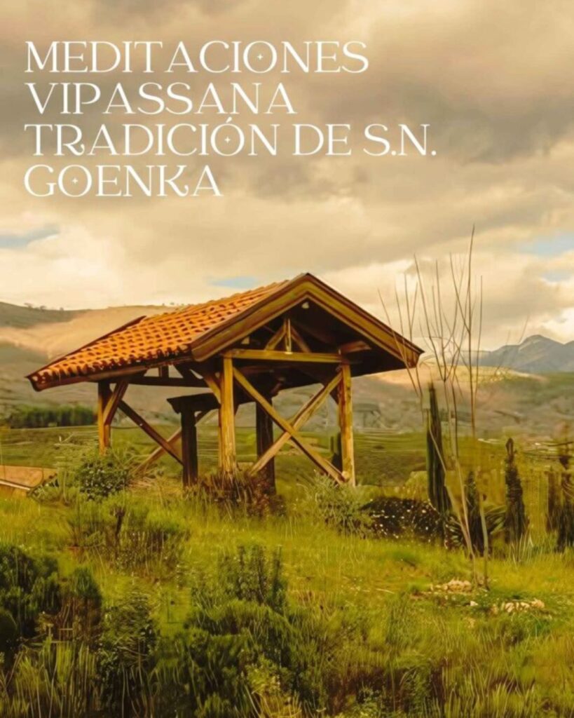 grupo de meditación Vipassana en granada