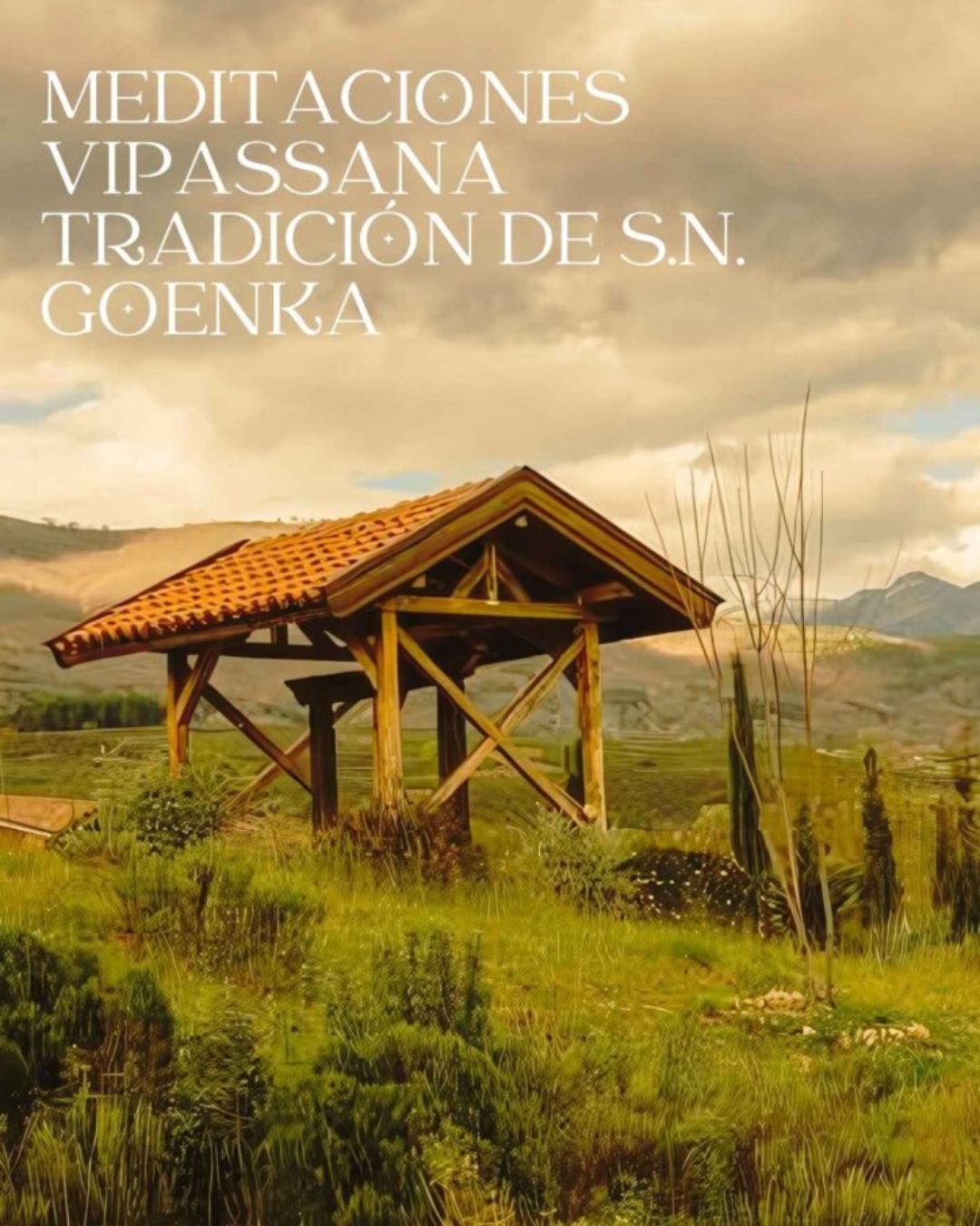 grupo de meditación Vipassana en granada